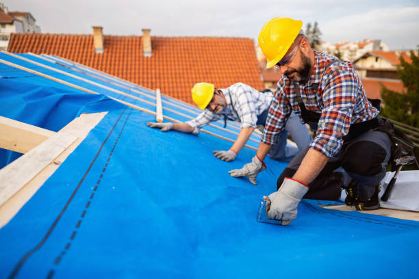 Roof Gutter Cleaning in Carnegie, PA