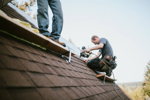 Best Roof Waterproofing Services  in Carnegie, PA